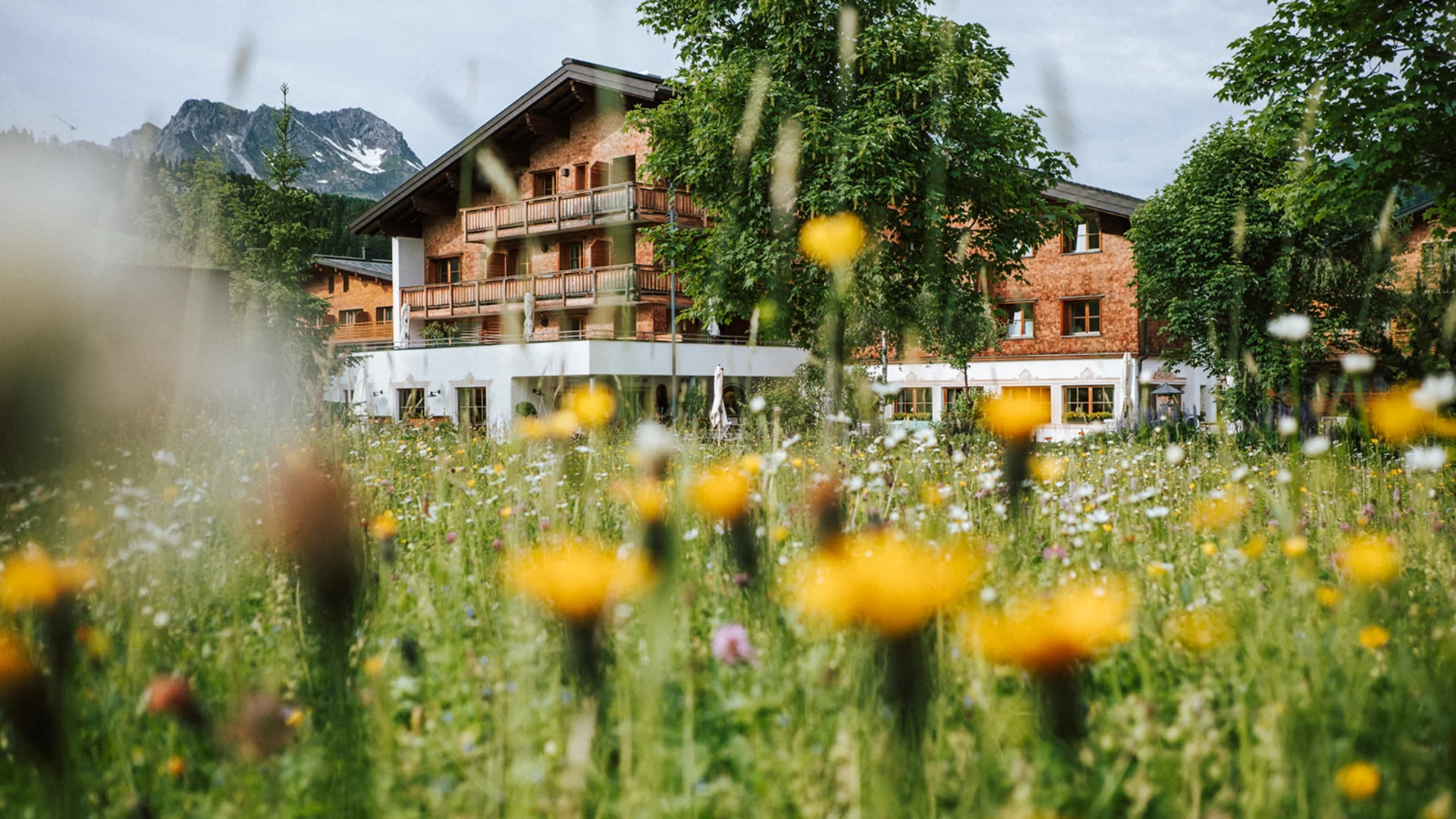 Alpenhaus hinter Wildblumenwiese mit Bergen im Hintergrund