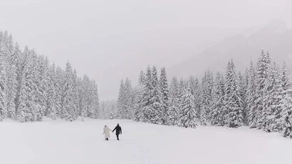 Zwei Personen gehen Hand in Hand durch verschneiten Wald