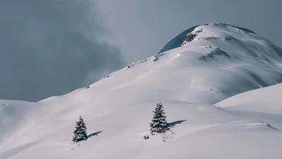 Verschneiter Berg mit zwei Tannenbäumen und bewölktem Himmel