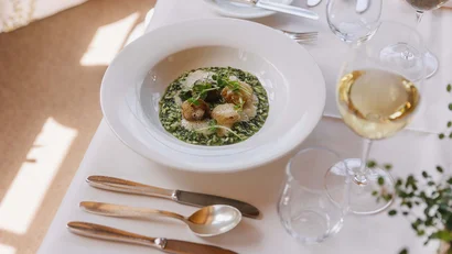 Fein angerichtetes Gericht mit Pilzen und grüner Sauce auf weißem Teller