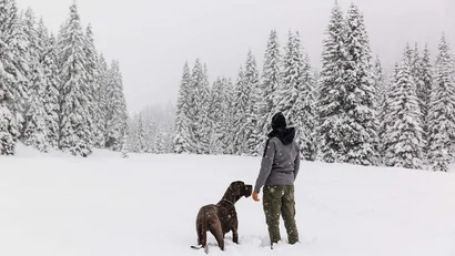 Person steht mit Hund in schneebedecktem Wald